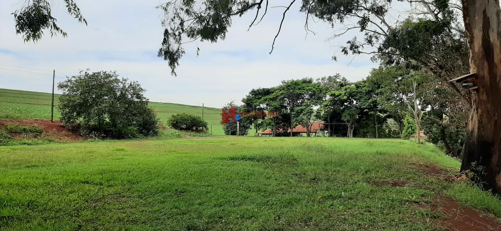 LINDO SITIO/AREA PRODUTIVA LOCALIZADA NO BRATISLAVA CAMBÉ-PR