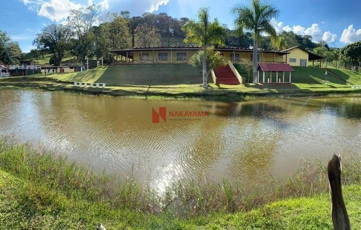 Chácara Próxima ao Patrimônio Selva - Londrina