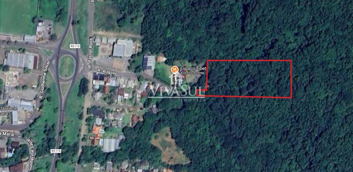 Terreno Gigante de 8.677m² por Apenas R$535 Mil – Perto da RS-239!