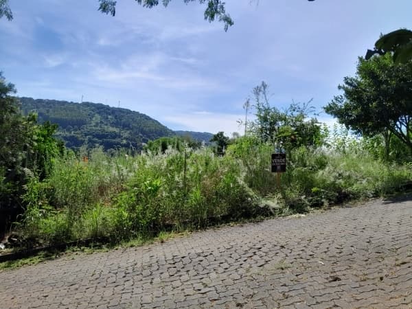 Lote/Terreno em Três Coroas - Sander