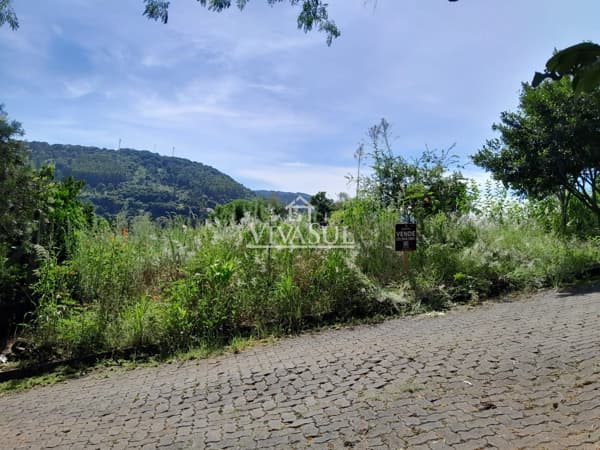 Lote/Terreno em Três Coroas - Sander