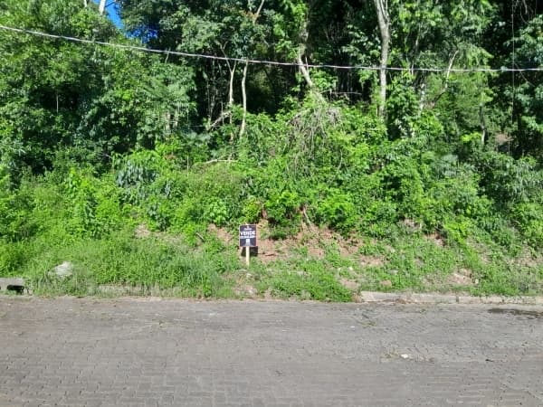 Lote/Terreno em Três Coroas - Sander