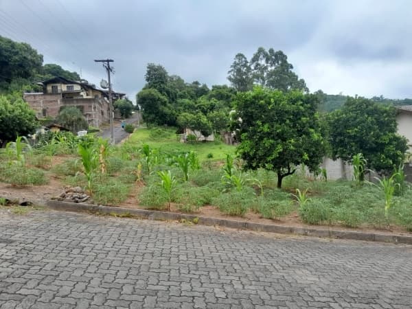 Lote/Terreno em Três Coroas - Sander
