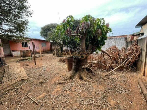 Lote/Terreno em Araguari - Centro