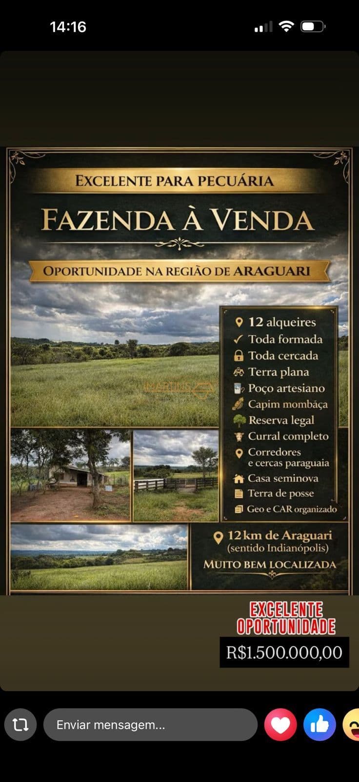 Fazenda Pecuária á Venda
