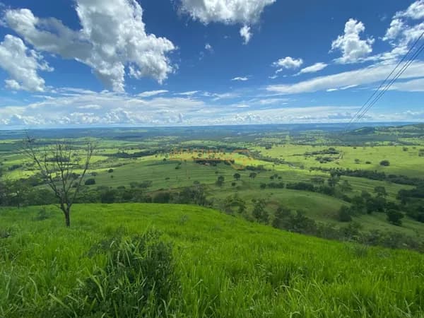 Vendo chácara localizada no Distrito de Piracaíba, a 48km de Araguari!