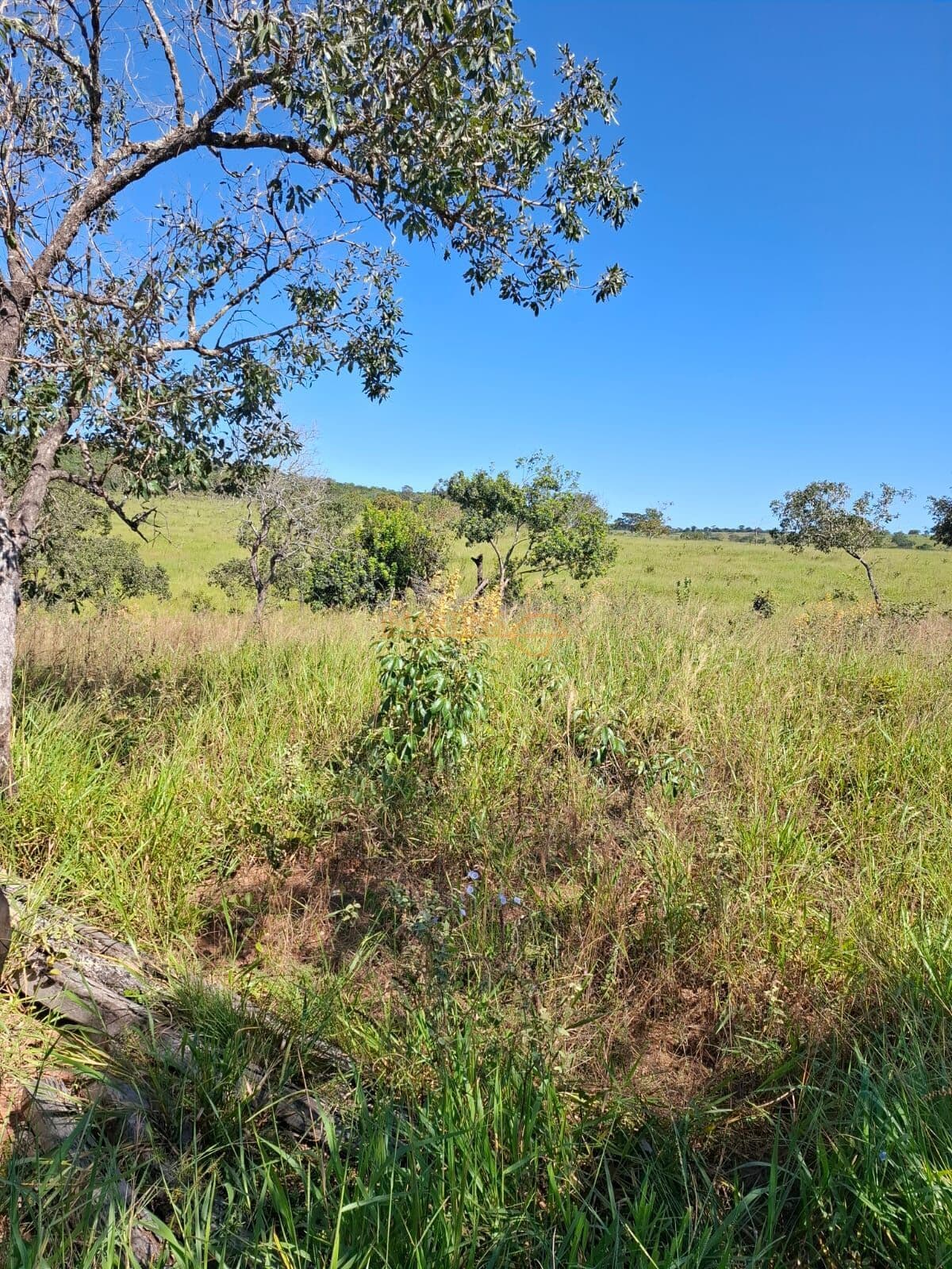 Fazenda à Venda! 🌾🐮