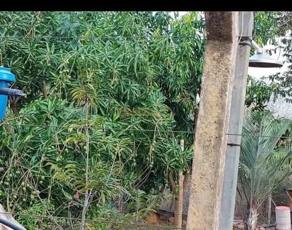 Fazenda/Sítios/Chácaras em Araguari - Área Rural de Araguari