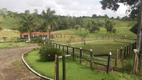 Fazenda/Sítios/Chácaras em Araguari - Área Rural de Araguari