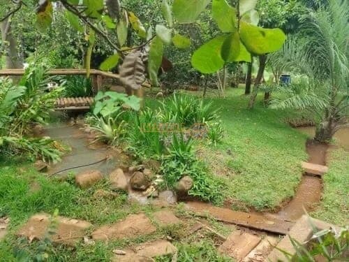 Fazenda/Sítios/Chácaras em Araguari - Área Rural de Araguari