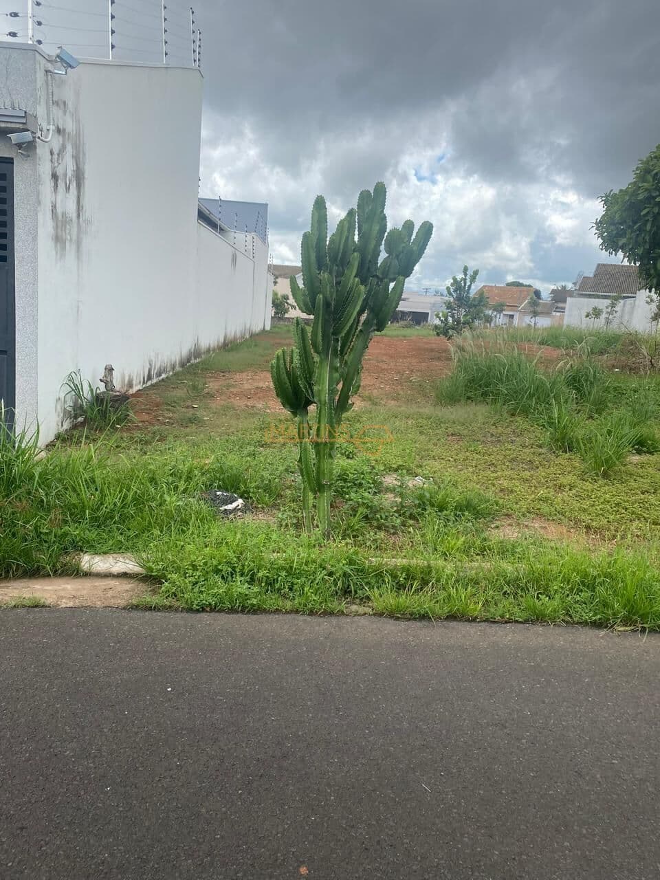 Terreno a Venda bairro Sibipiruna