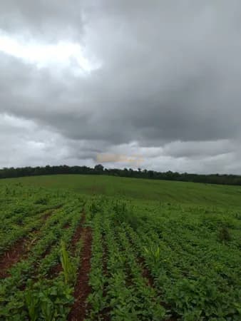 Fazenda a Venda