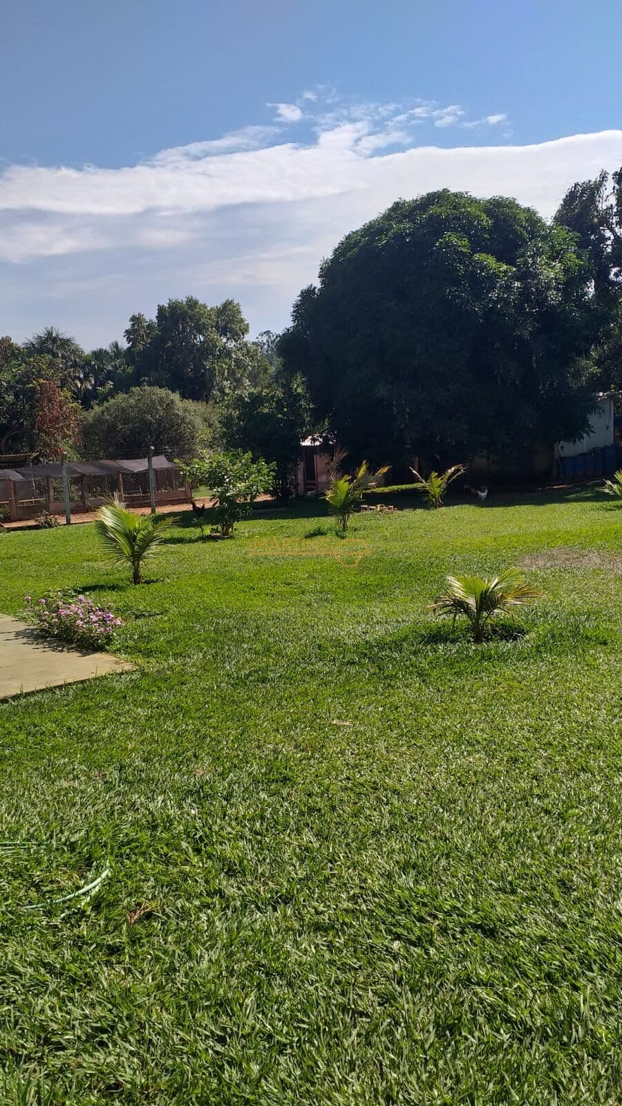 Fazenda/Sítios/Chácaras em Araguari - Centro