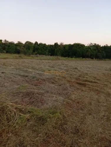 Fazenda/Sítios/Chácaras em Araguari - Centro