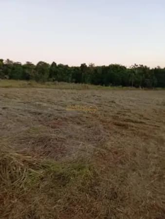 Fazenda/Sítios/Chácaras em Araguari - Centro