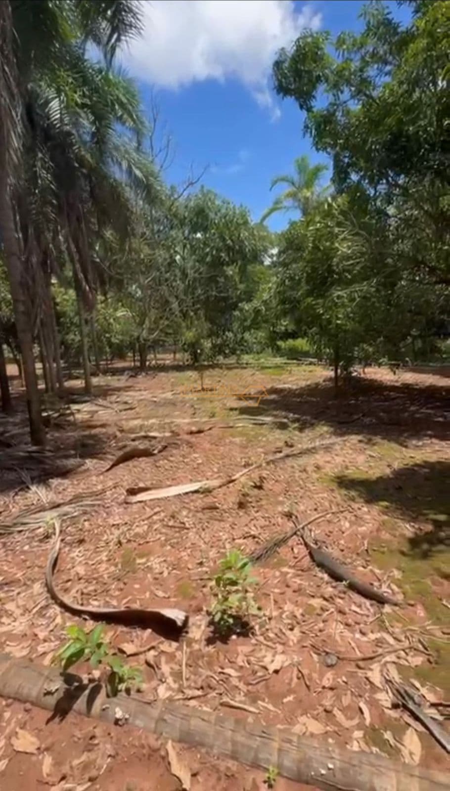 Rancho a 40km de araguari, 30km de catalao