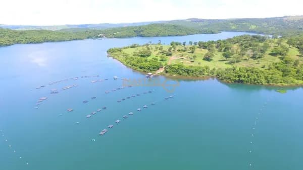 Terreno com 38,000 mil metros á 26 km de Araguari