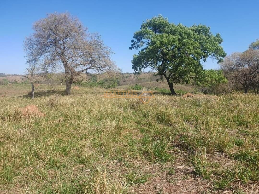 Fazenda/Sítios/Chácaras em Araguari - Área Rural de Araguari