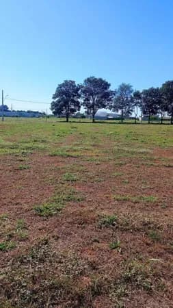 Lote/Terreno em Araguari - Área Rural de Araguari