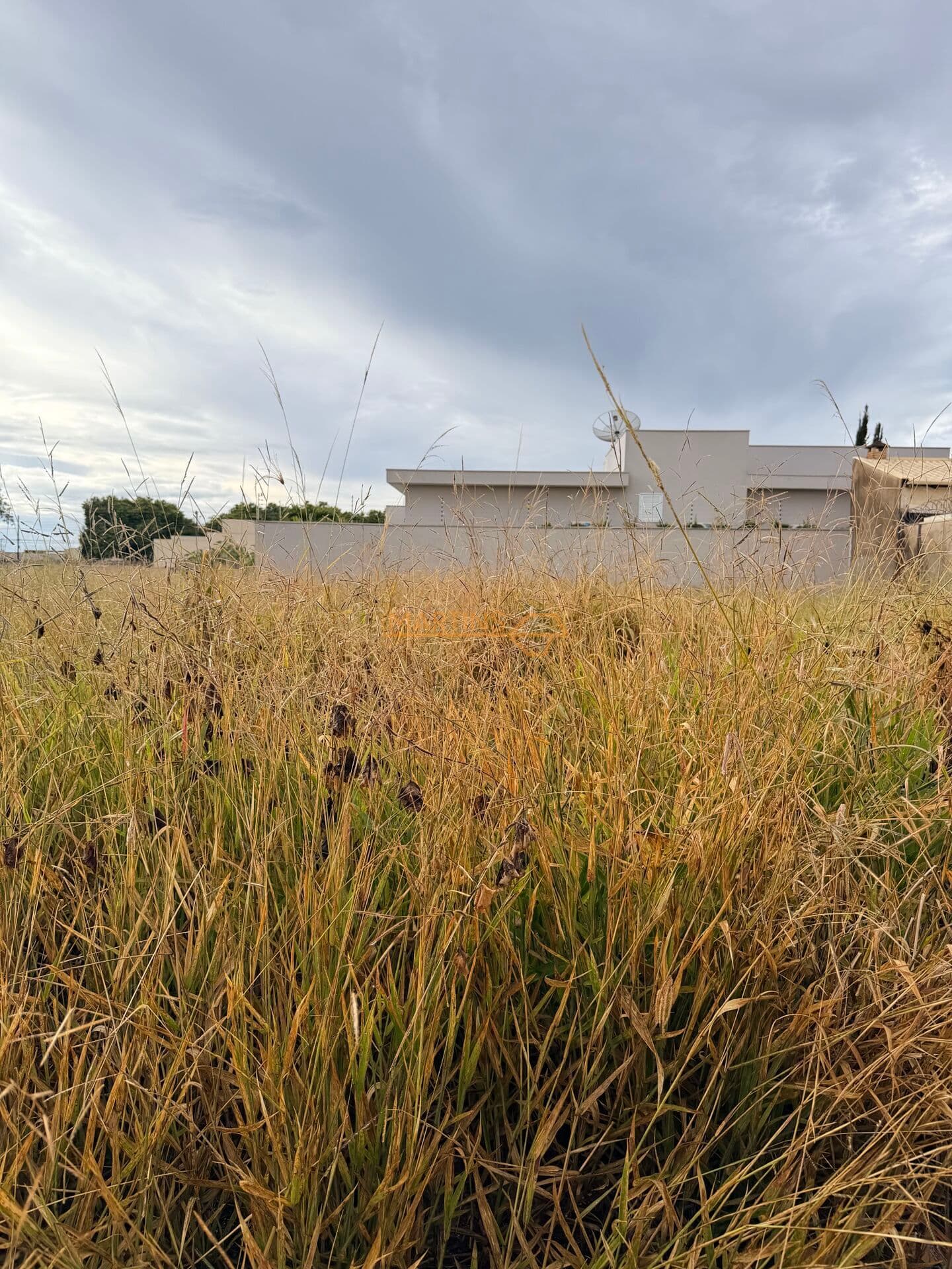 Lote/Terreno em Araguari - Aeroporto