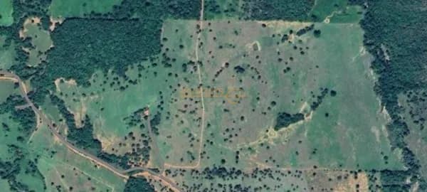 Fazenda Pecuária á Venda