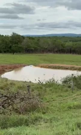 Fazenda Pecuária á Venda