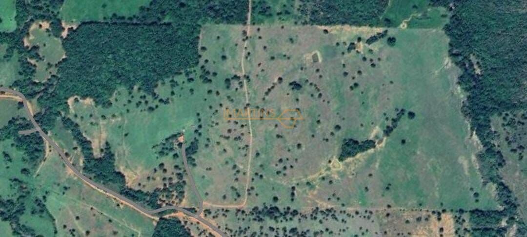 Fazenda Pecuária á Venda
