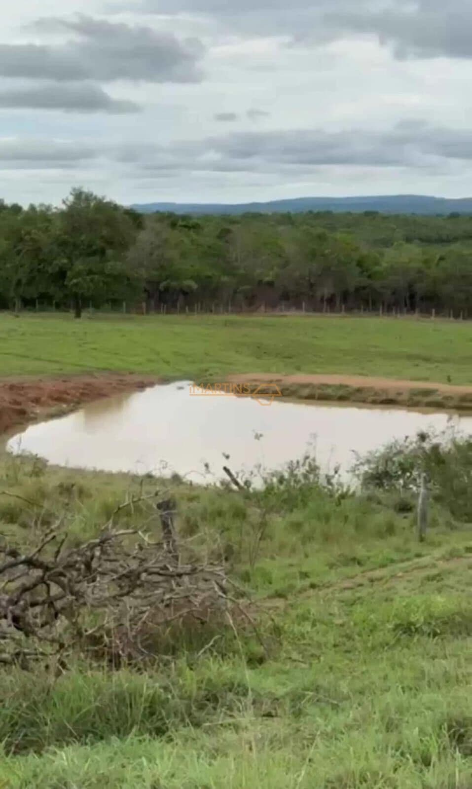 Fazenda Pecuária á Venda