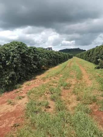 Fazenda/Sítios/Chácaras em Araguari - Centro