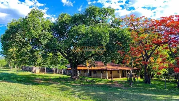 Fazenda à venda – Serra do Barracão, sentido Caldas Novas - Araguari-MG