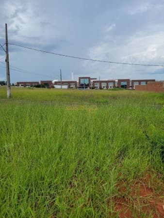 Lote/Terreno em Araguari - Jardim Botanico