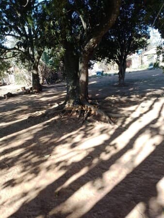 Lote/Terreno em Araguari - Bosque
