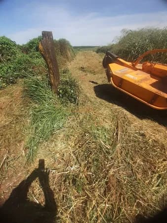 Fazenda/Sítios/Chácaras em Araguari - Área Rural de Araguari