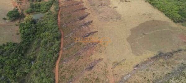 Fazenda/Sítios/Chácaras em Araguari - Área Rural de Araguari