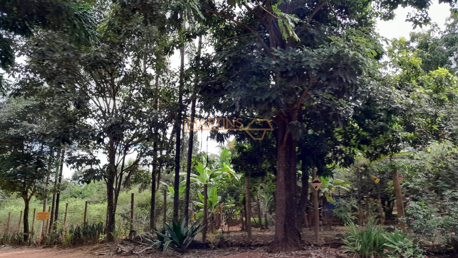 Fazenda/Sítios/Chácaras em Indianópolis - Zona Rural