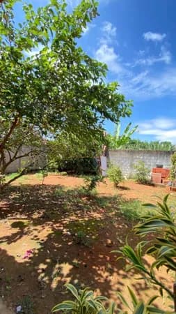 Lote/Terreno em Araguari - Independência