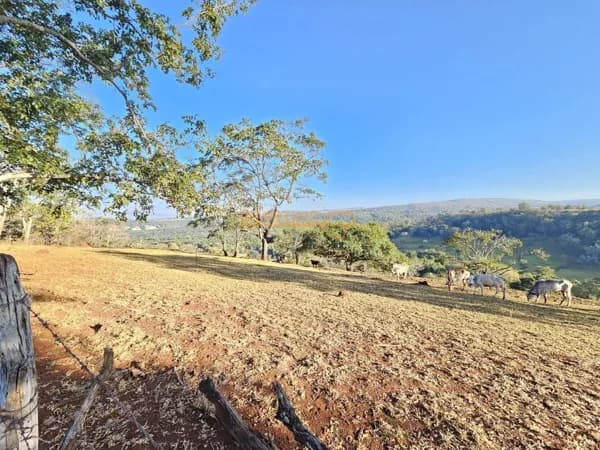 Fazenda/Sítios/Chácaras em Araguari - Área Rural de Araguari