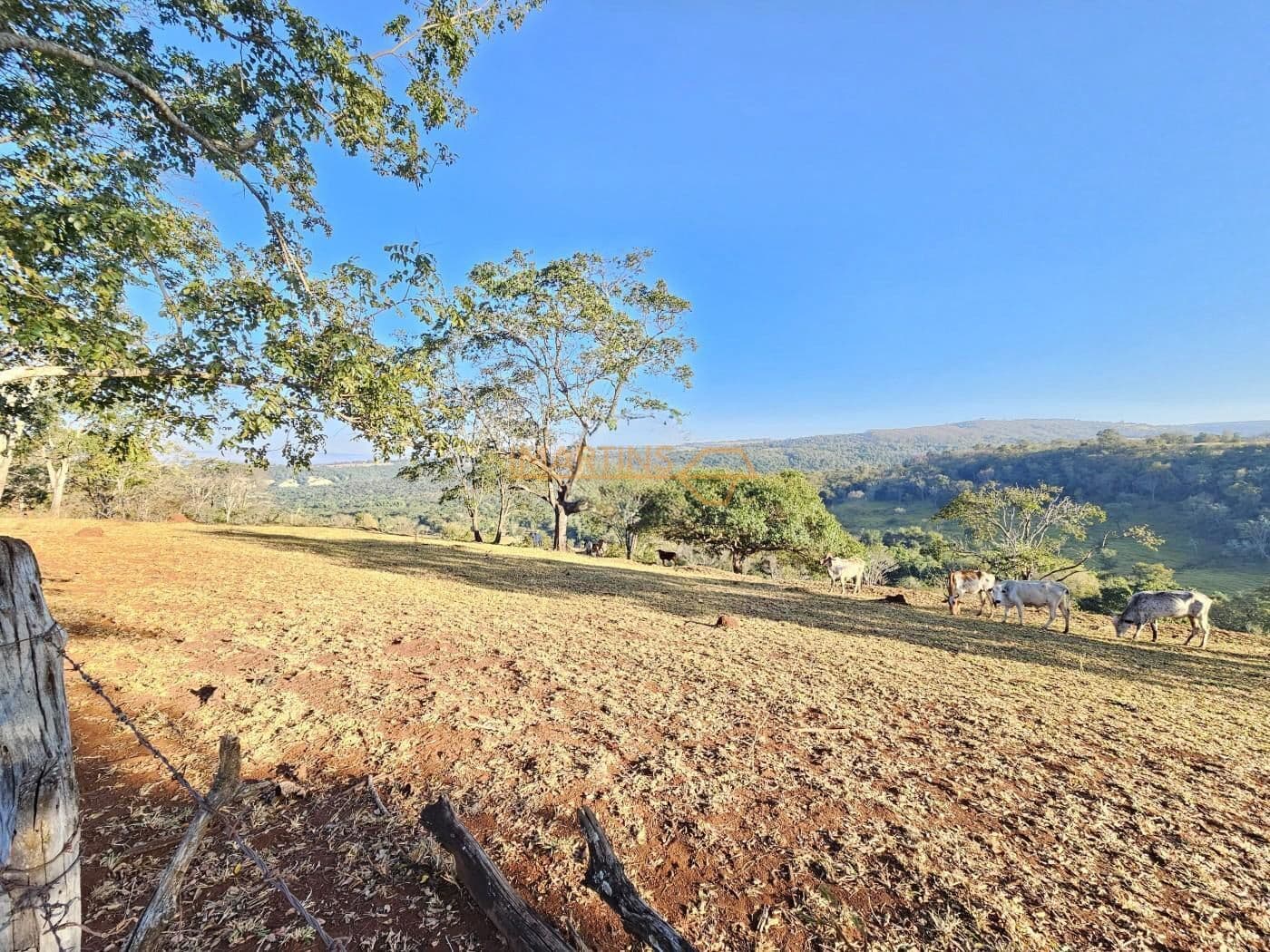 Fazenda/Sítios/Chácaras em Araguari - Área Rural de Araguari
