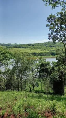 Fazenda/Sítios/Chácaras em Uberlândia - Centro