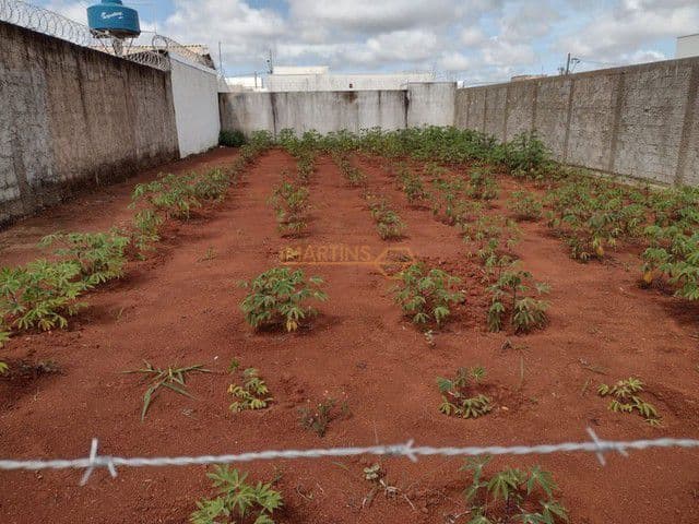 Lote/Terreno em Araguari - Jardim Botanico
