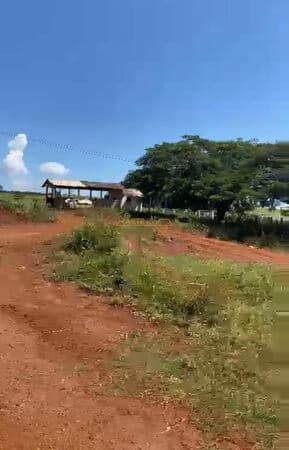 Chacara