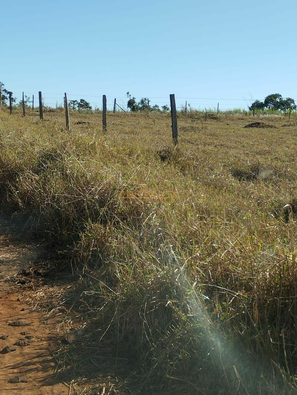 Fazenda em Araguari