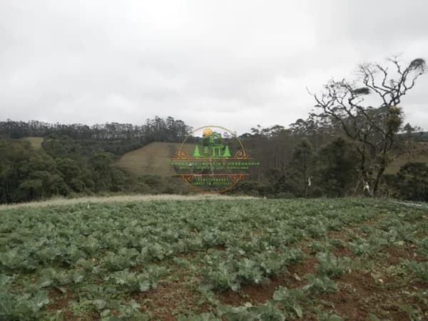 Sítio 8 alqueires a apenas 300 metros do asfalto ótima localização ideal para plantio