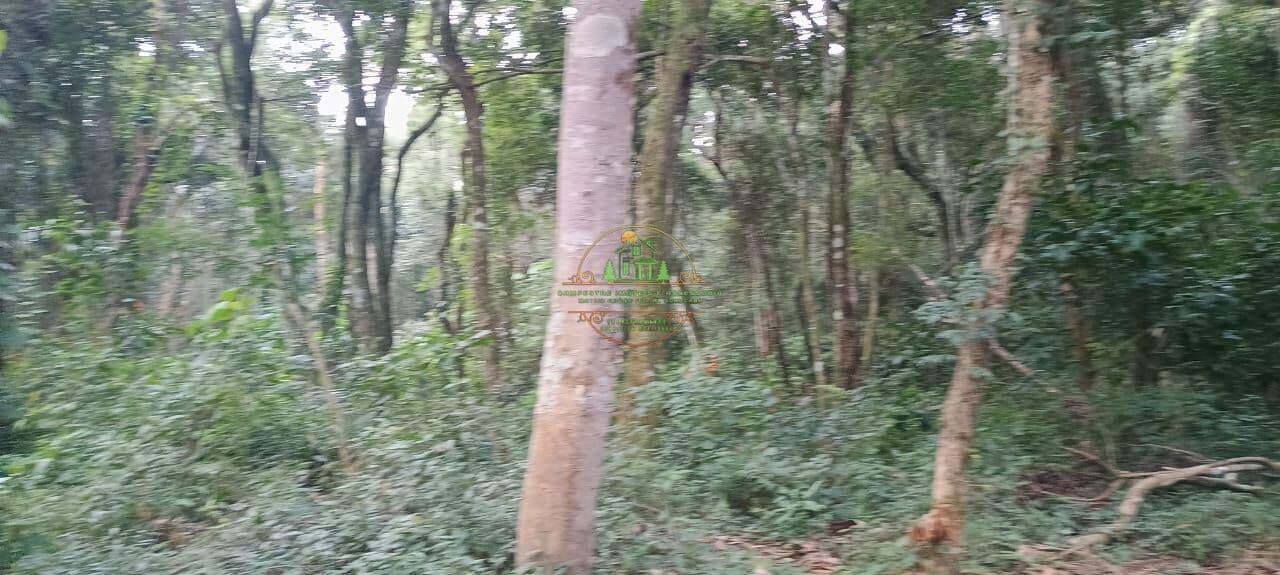 Terreno de 3.200m² proximo a Marina facil acesso