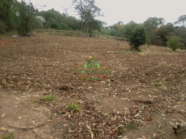 Sítio de 57.000m² ótimo para investir em construções ou lavoura
