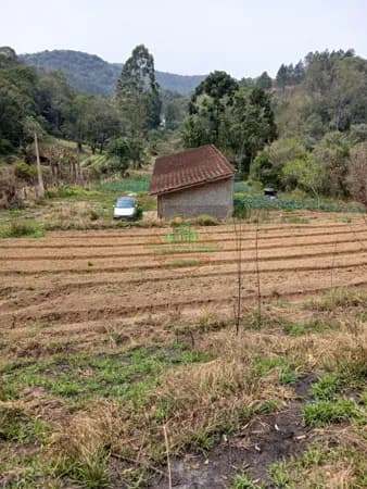 Terreno 1 Alqueire excelente para lavoura e plantio