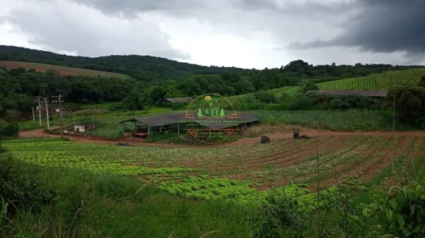 Fazenda de 17 Alqueires na cidade de Ibiúna, proximo a SP