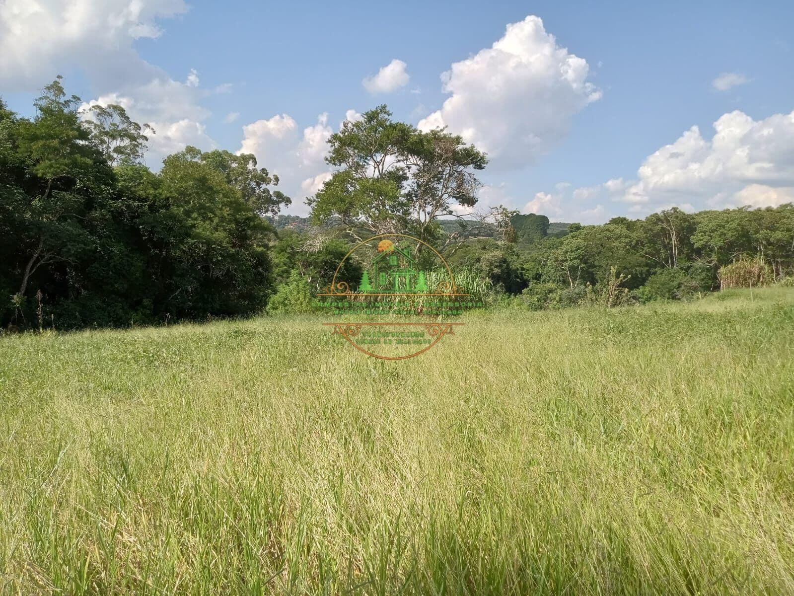 Terreno Lote de 6.341m² semi limpo no asfalto para investir ou construir