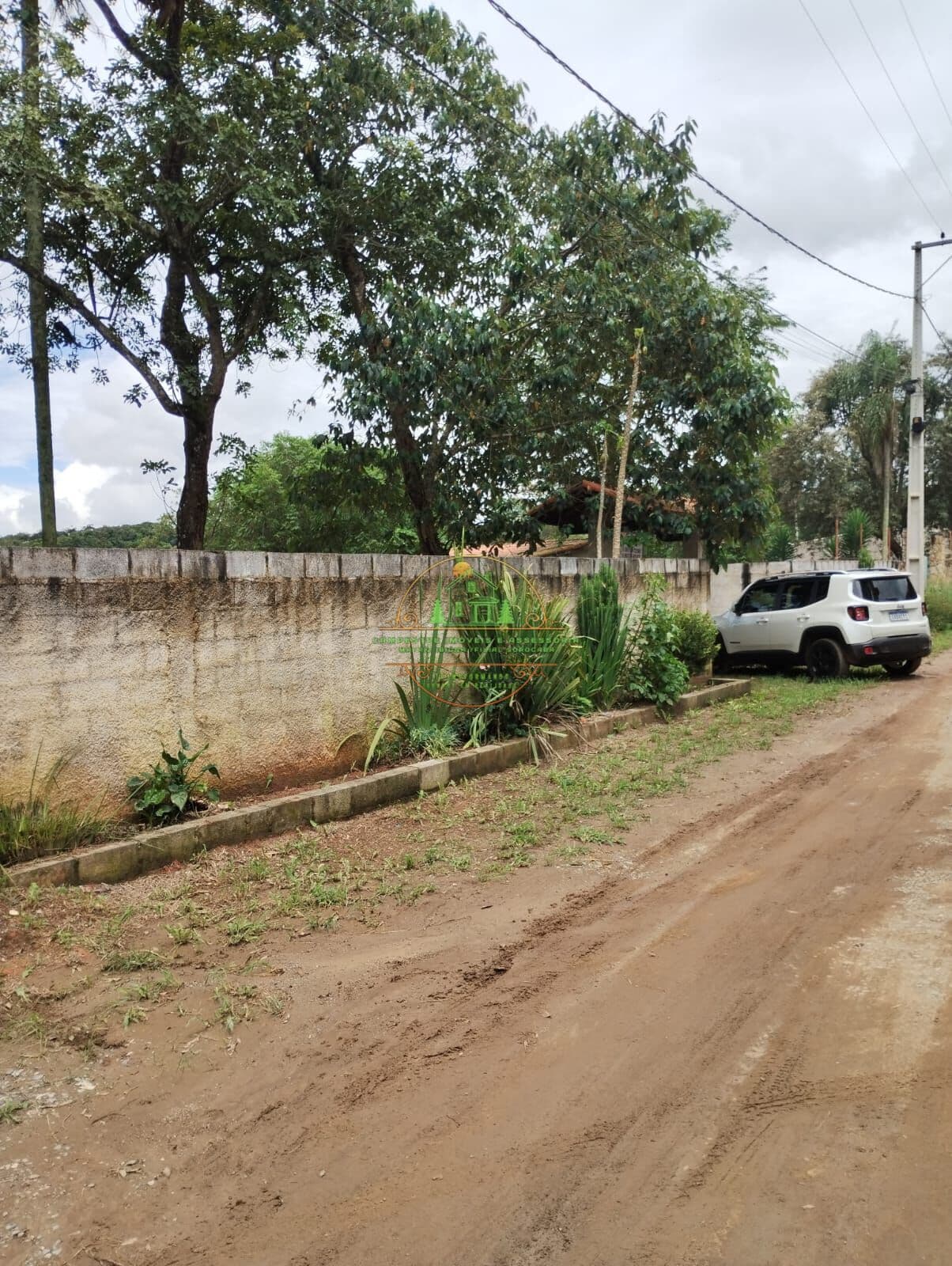 Chácara 3.100m² terreno plano com arvores frutíferas