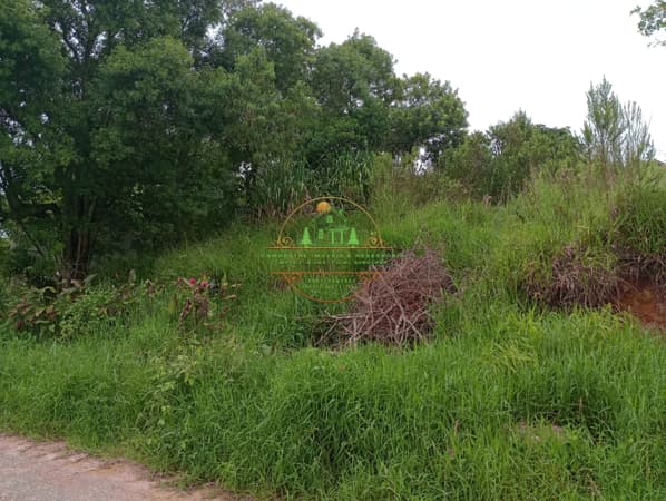 Terreno em Condomínio fechado